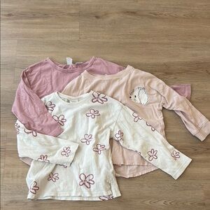 Zara Pink and Cream Long Sleeve Shirt Set